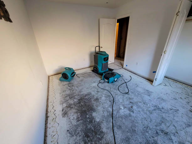 Best Fire Damage Restoration  in Botkins, OH
