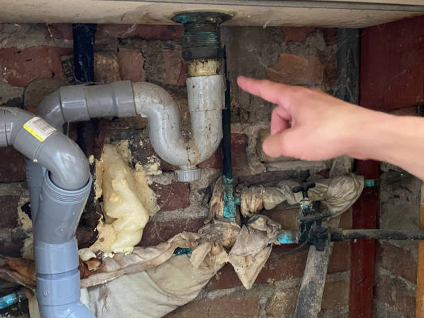 Best Water damage cleanup near me  in Botkins, OH